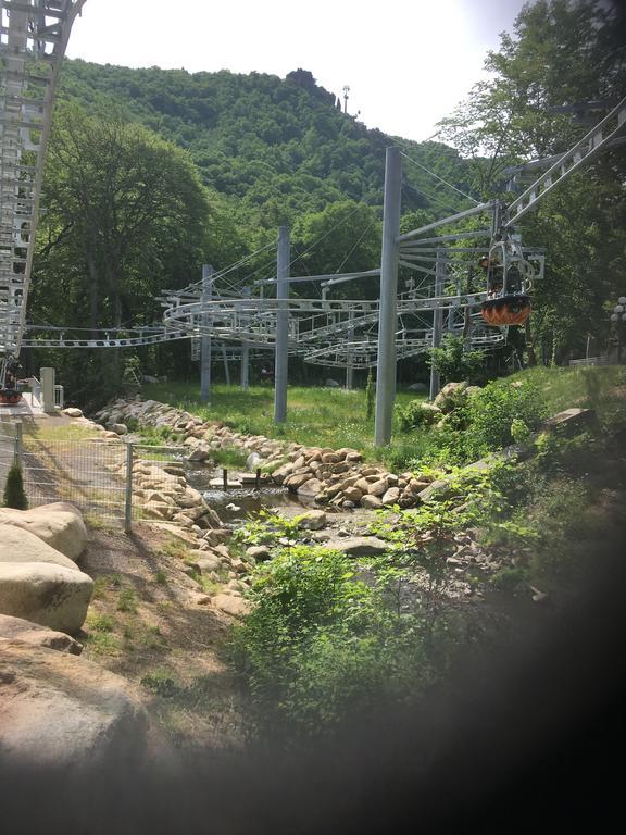 塔勒Rosstrappensicht公寓 外观 照片
